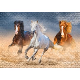Ulmer Puzzleschmiede - Puzzle "Queens of the desert": 1000 pieces jigsaw puzzle - Powerful Arabian horses racing in the desert