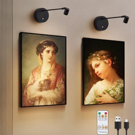 Ziqili 2Pack Picture Lights Battery Operated,Painting Light for Wall with Remote, Art Didsplay Light for Pictures with 3 Lighting Dimmable Timer Set, for Wall Art Frame Gallery Black