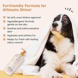 Moisturising & Odor Eliminating Shampoo for Dogs & Cats | Sensitive Skin Pet Shampoo | Organic Ingredients for Itchy, Dry Skin Relief in Dogs Cats | Paraben Free,Made in USA | Vanilla Tangerine-16oz