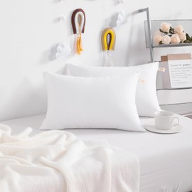 NTBAY 2 Pack Tiny Pillows, 11"x7" Microfiber Mini Pillows for Travel, Pets, Soft Machine Washable Small Pillows for Neck, Wrist, Lumbar and Knee, White