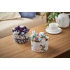 Daichi Farm DO001510-101 Preserved Flowers, Soft Pyramid Hydrangea Head, Baby