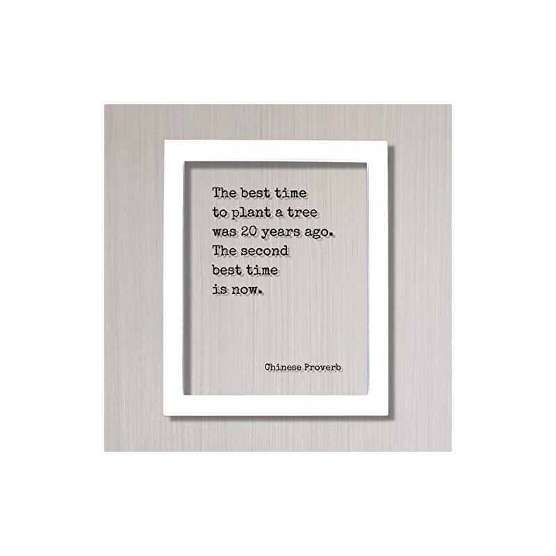 Chinese Proverb - Floating Quote - The best time to