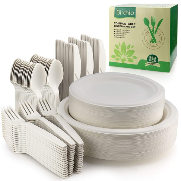 BIRCHIO 250 Piece Biodegradable Paper Plates Set (EXTRA LONG UTENSILS), Disposable Dinnerware Set, Eco Friendly Compostable Plates & Utensil include Plates, Forks, Knives and Spoons for Party