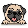 Sticker Gold - Peeping Pug 17cm Car Sticker - Cute,