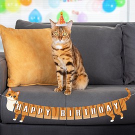 Cat Happy Birthday Banner Birthday Cat Garland Bunting Banner Birthday Sign Cat Birthday Decorations for Kids Adult Birthday Party Supplies Favors (Orange)