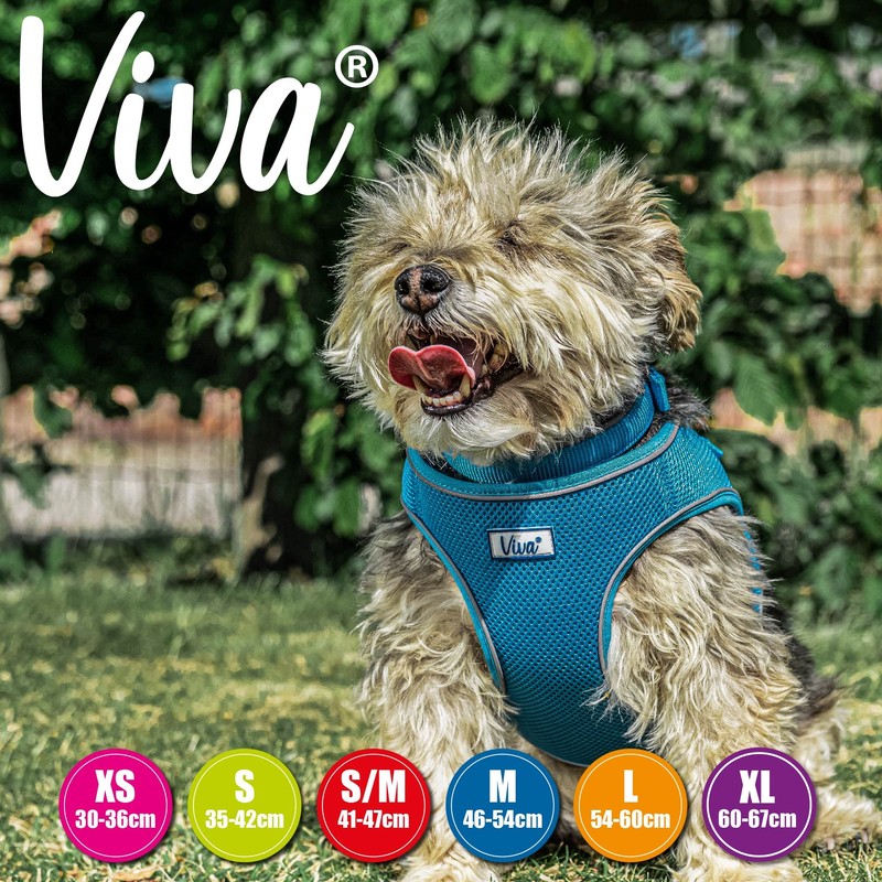 Ancol Viva Step-in Comfort Harness Blue .Medium- To fit 46-54cm