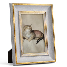 Sapowerntus 4x6 Picture Frame Gold Line Grey Distressed Photo Frames Antique Gray Wall Hanging Tabletop Display Home Decor Retro Shabby Chic Elegant Unique Gift