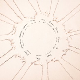 BriLove 925 Sterling Silver Necklace -Pisces Constellation Zodiac 12 Horoscope Astrology Women CZ Pendant Necklace Birthday Gift for Valentines Day/Anniversary/Mothers Day/Christmas