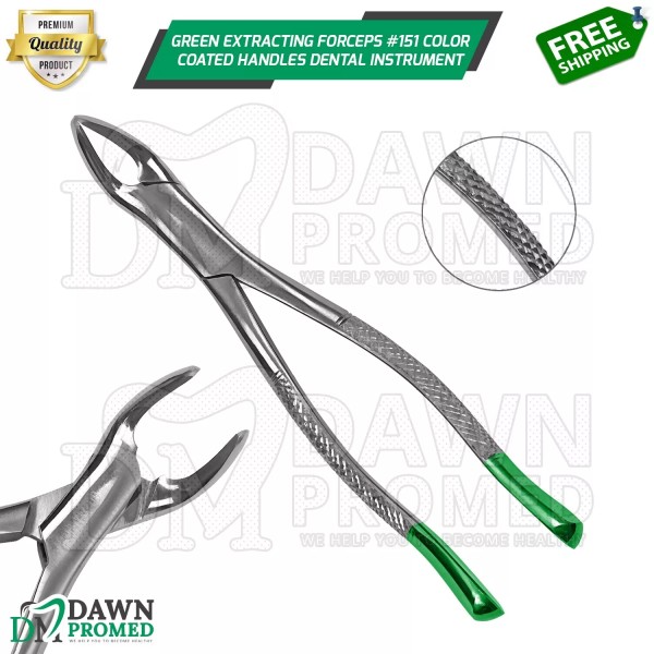 DawnProMed Green Extracting Forceps #151 Color Coated Handle Dental Instrument