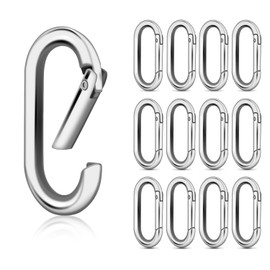 10Pack Large Oval Carabiner, Metal Spring Keyring Clips for Paracord Keychain Lanyard, Car Key Rings, Dog Tag Clip, Pets Collar Buckles, Purse Keychain Replacement (Sliver)