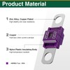 AMI/Midi Car Fuses 200 Amp High Current Fuse, Bolt-on Fuse