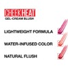 Maybelline Cheek Heat Blush 10 Pink Scorch