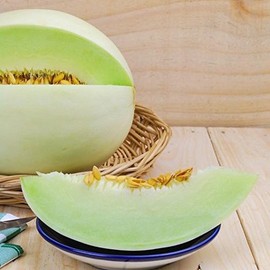 David's Garden Seeds Fruit Melon Honeydew Green 1512 (Green) 50 Non-GMO, Heirloom Seeds