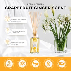 Natural Reed Diffuser Set by DANI Naturals - Fresh Grapefruit Ginger Fragrance - Aromatherapy Essential Oils - Alcohol Free - 10 Diffuser Sticks - 3.5 Ounce Glass Bottle