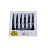 Pradel Excellence CC006N Kasten mit 6 Antihaft-Steakmessern aus rostfreiem Edelstahl,