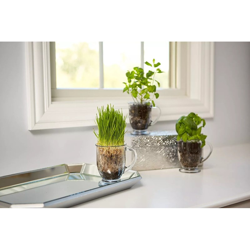 Anchor Hocking Clear Mug Set 4 Piece