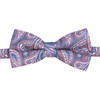 King & Priory Blue with Red Paisley Bow Tie