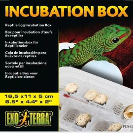 EXO TERRA INCUBATION EGG BOX