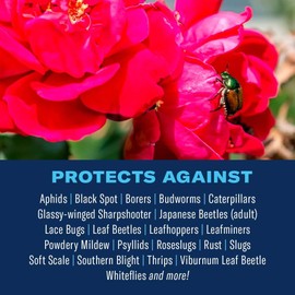 BioAdvanced All-In-One Rose and Flower Care Fertilizer, Granules, 4 lb