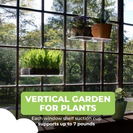 Window Garden Suction Cup Window Shelf - Set of 2-5mm Acrylic Plate Holds Up to 7lbs - Space Saving Plant Shelf for Windows - Ideal for Herbs Flowers Microgreens - 15.1" x 3.8" - White
