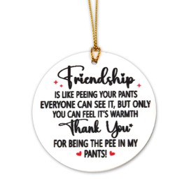 Funny Best Friends Gifts for Women Gag Bff Friendship Gifts for Girls Appreciation Thank You Gifts for Friends Decorations for Friendsgiving Home Office Bestie Tree Ornament Friend Birthday Gift Ideas