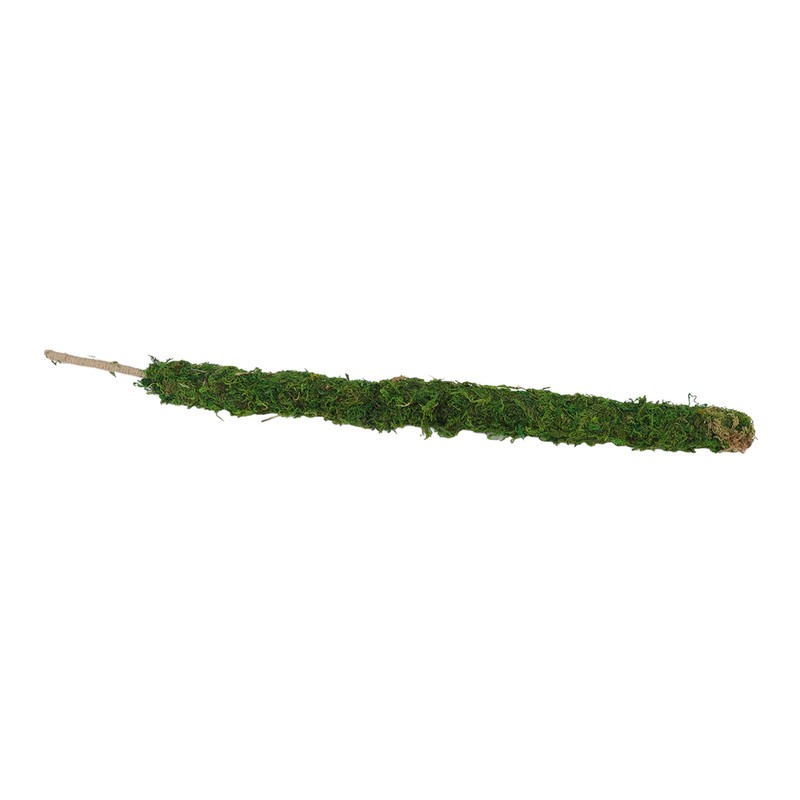 Moss Pole Bendable Safe Moss Plant Rod Plant Support Gardening