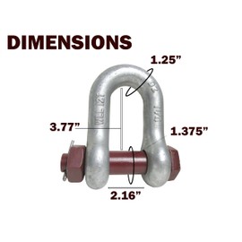 1 1/4" Safety Bolt Chain Shackle Lifting Clevis D Ring 12 Ton Crane Wrecker | MAX Capacity 72 Ton | Overhead Rigging (Pro Industrial Quality)