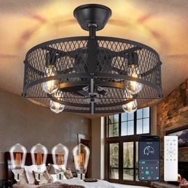 Depuley Caged Ceiling Fan with Light: 20" Black Small Fandelier Ceiling Fan with Remote - Farmhouse Fandelier with Fan Light Fixture for Low Profile Indoor Bedroon Kitchen Living Dining Room