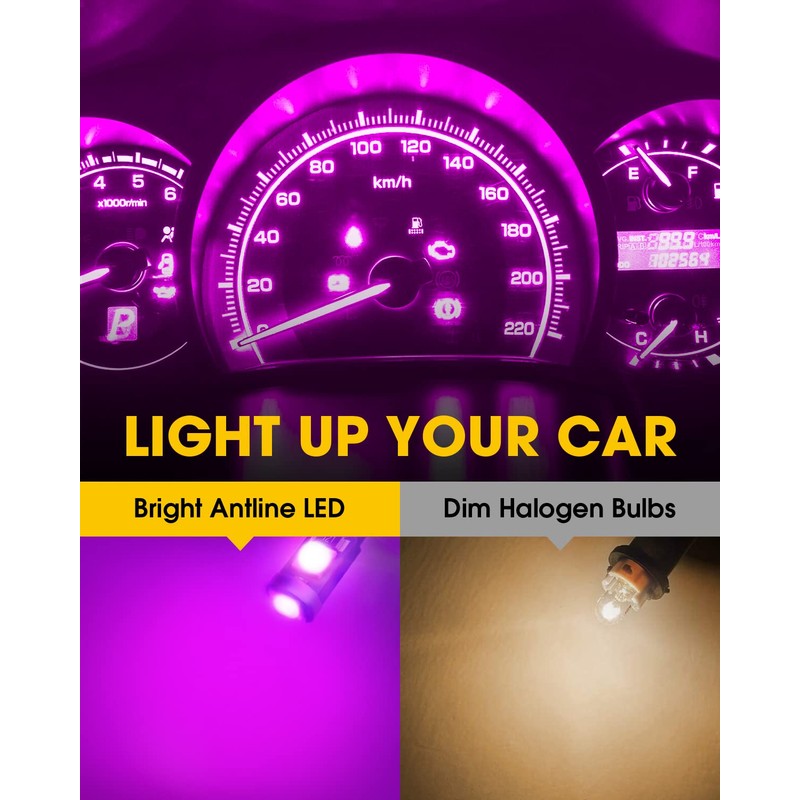 Antline T5 37 74 2721 PC74 PC37 LED Bulb Purple,