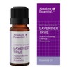 Absolute Essential Lavender True Essential Oil, 10ml