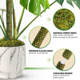 Duspro DUSPRO Stackable Mesh Moss Pole for Plants Monstera Potted Plant Stakes for Indoor Plants Extendable Plant Pole Moss Sticks for Plants Climbing Vine Supporting Monstera Trellis 2 Pcs 22'