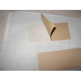 100 pk All Insect/Fly Traps/Sticky Strips Trap Flies, Bees, Wasps, Asian Beetles, etc.