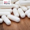 Zein Pharma Chondroitin Capsules 500 mg Pack of 90 1