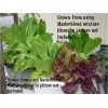 MASTERBLEND ® 4-18-38 Tomato & Vegetable Fertilizer (5 bs) FREE
