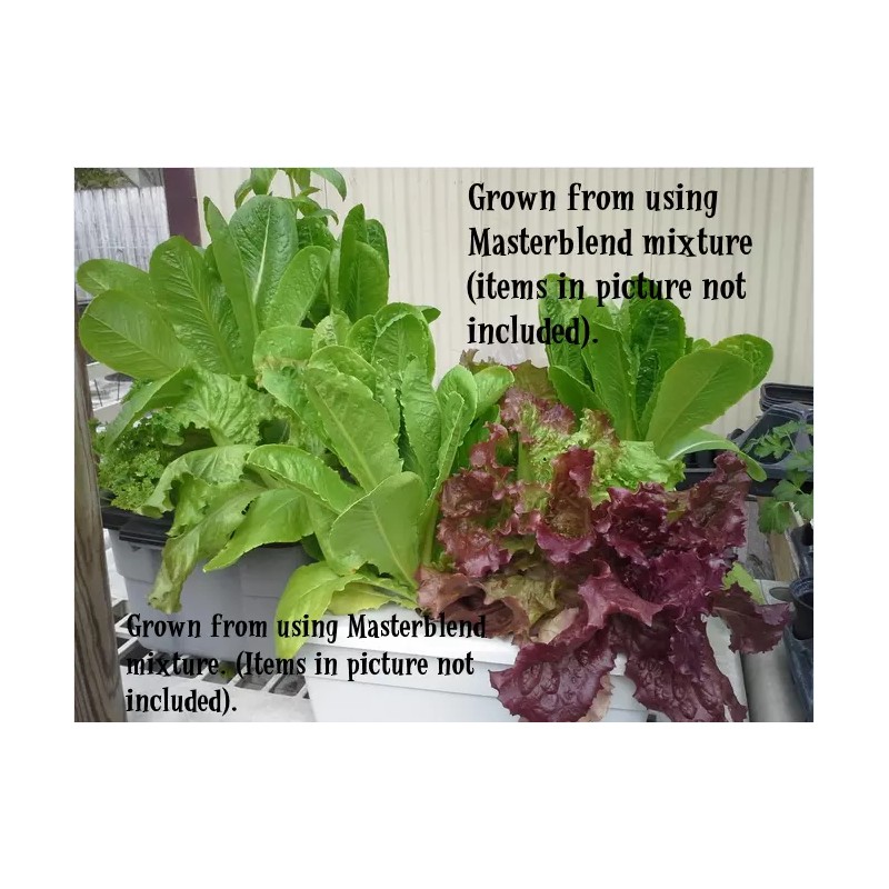 MASTERBLEND ® 4-18-38 Tomato & Vegetable Fertilizer (5 bs) FREE