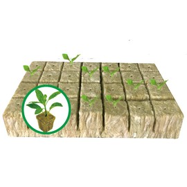 1.5” Rockwool Starter Plugs for Hydroponics, Rockwool Grow Cubes, 1 Sheets of 28 Plugs (28) (Small)