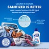 Lysol Disinfectant Laundry Sanitizer & Scent Booster, Laundry Detergent Additive,