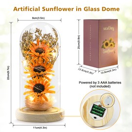 socathey Sunflower Gifts for Women, Artificial Sunflowers in Glass Dome with LED Strip, 1PSC Sunflower Decor on Mother's Day, Valentine's Day, Christmas, Thanksgiving, Birthday (Orange)