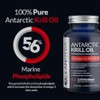 Aceite de krill antrtico 100 puro, 1000mg cpsulas blandas60 das