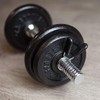 C.P. Sports Pair of Spring Locks, Dumbbell Clasps, 25 mm,