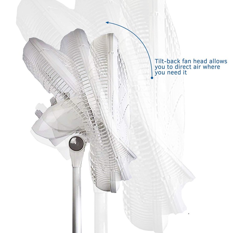 Lasko 2520 Oscillating Stand Fan,White 16 Inch