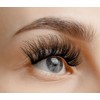 VieVie False Lashes Strip Fake Eyelashes Natural to Dramatic Look