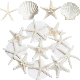 Starfish and Scallop Shells for Crafts 12PCS, Large Seashells 3"-4" Bulk Sea Shells for Decor Kids Beach Theme Party Painting Wall