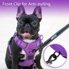 PoyPet No Pull Dog Harness, No Choke Reflective Dog Vest,