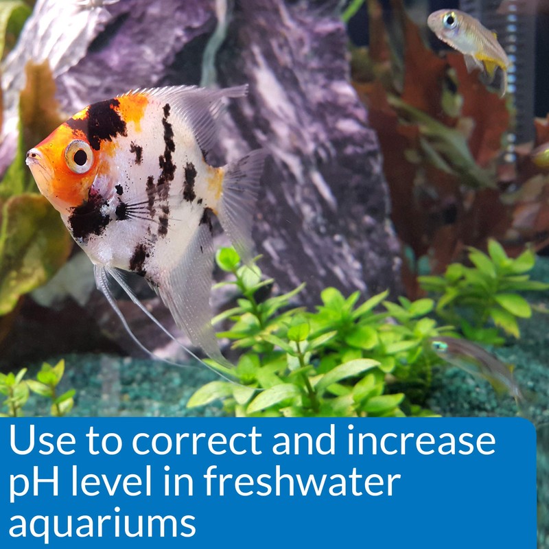 API pH UP Freshwater Aquarium Water pH Raising Solution 1.25-Ounce