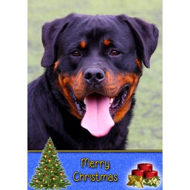 Rottweiler Dog Christmas Card 'Merry Christmas' - Special Animal Xmas Card for Him Her from Pets Kids