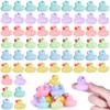 Mini Rubber Ducks 60 Pack Bulk Small Squeaky Float Bath