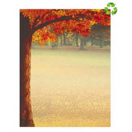 Paperdirect Stunning Maple Glory Leaves Fall Autumn Thanksgiving Colorful Theme Paper Stationery, Border Paper, Letterhead 8.5 x 11, 25 sheets, Elegant Premium Writing Paper Decorative Printer Paper