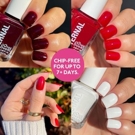 Eternal Nail Polish Set 5 Piece Kit: Long Lasting, Quick Dry and Cruelty Free. Made in USA - 0.46 Fluid Ounces Each (Tie Dye)