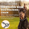 Dragon Bone Training Collar - Anti-Pull No-Choke Adjustable Slip, Durable